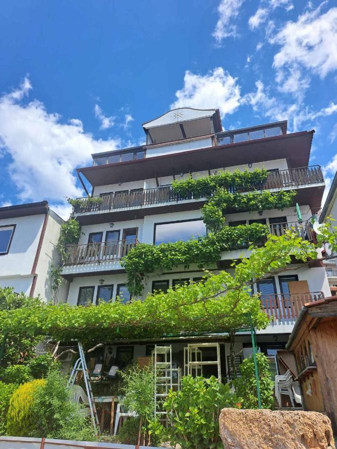 Villa Malezan オフリド エクステリア 写真