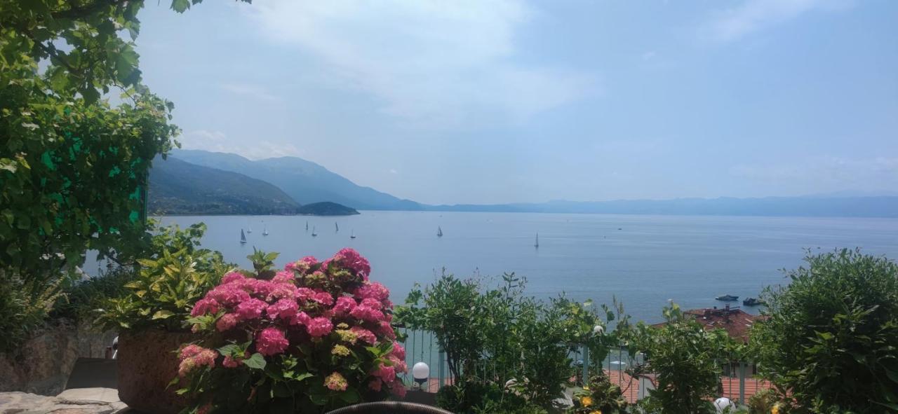 Villa Malezan オフリド エクステリア 写真